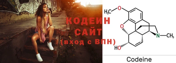 Альфа ПВП Ладушкин