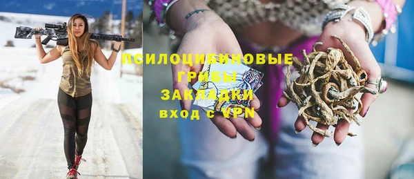 Альфа ПВП Ладушкин