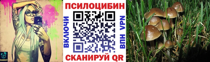 Галлюциногенные грибы Psilocybine cubensis  Купить где  Заполярный 